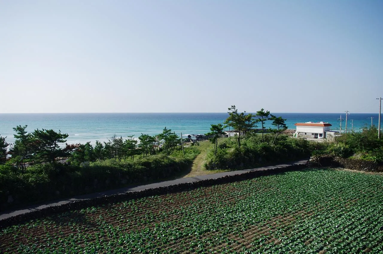 6Pm Pension Jeju