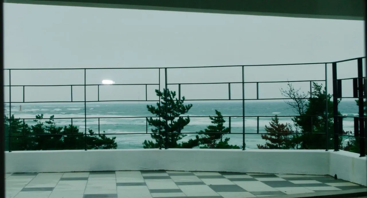 6Pm Pension Jeju